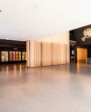 Pathé Dijon image 7