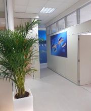 NationalWeb immagine 4