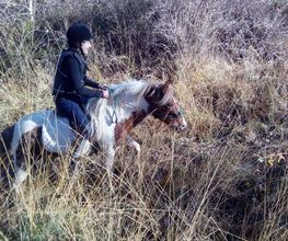 Equiloisirs image 10