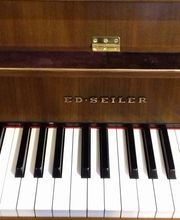 Kaulmann Robert junior Bild 1