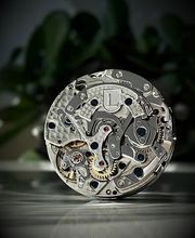 LANDERON SWISS MOVEMENTS GmbH Bild 10