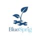 BlueSprig Fort Smith - ABA Therapy for Autism
