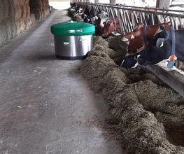 Agrofarm Sàrl Bild 5