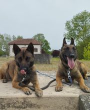 Antho Educanine image 11