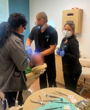 Smile Cape Coral image 6