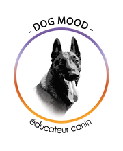 Dog Mood image 5