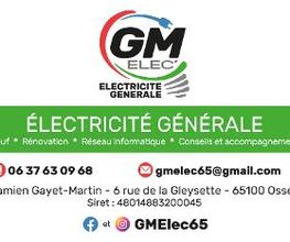 GM Elec'65 image 2
