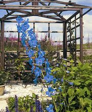 Hacker Jürgen Bild 2