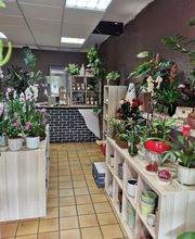 Pompes Funèbres Bonzom Martes Salies du Salat image 3