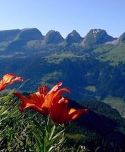 Gasthaus Zum Schäfli Bild 4