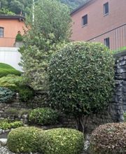 Vivai San Martino Bild 9