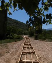 SGE BOIS MEDITERRANEE image 7