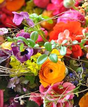 Blumen Kilger Bild 9