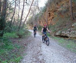 X-Bike Nerja imagen 11