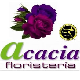 Acacia_Floristeria_Merida_Maribel.jpg