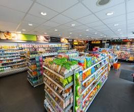Shell Bild 7