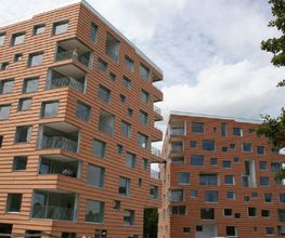 Buholzer Marcel AG Bild 2