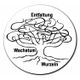 Beratung-Supervision- Training