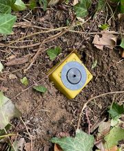 EURL CARDINAL LONGECHAMP image 2