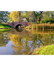 Bestattungen Scheufele Bild 1