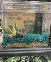 Fullerton Ace Hardware image 11