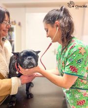 ClinicVet Vétérinaire Bernay image 7