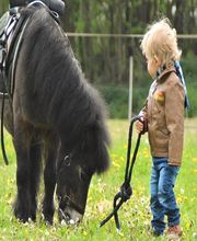 Club équestre St Julien image 3