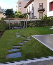 BaumGärtner - Giardini Bild 4