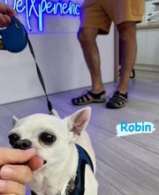 300435393-0-EFH1YRVUHj1777989172127.jpeg