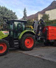 Pasinelli cura alberi Sagl Bild 4