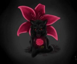KAATZ ARTZ image 13