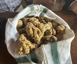 Osteria Concordia Bild 7