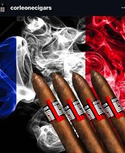 Vigour Sandrine image 2