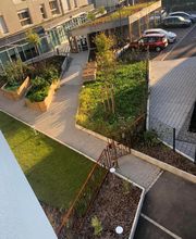 Sequoia Paysage image 5