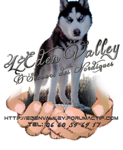 Eden Valley O Secours des Nordiques image 1