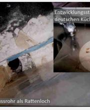 Fa. WUDTKE Inh. Gerhard Wudtke geprüfte Schädlingsbekämpfer Bild 2