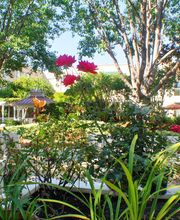 Carlton Senior Living San Leandro image 13