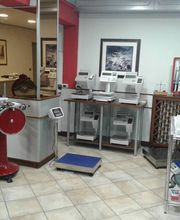 Gallery Cliente
