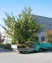 Gaertnerei in Basel-Stadt