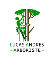 Lucas Andres Arboriste image 2