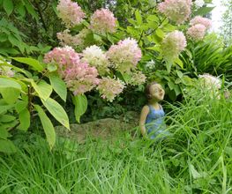 Stark im Garten