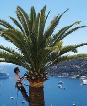 Olivier Nature image 7