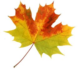 Herbst Beratung & Planung GmbH Bild 6
