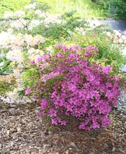 Harmonie paysage sarl Bild 1