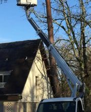 Brac José Elagage Abattage 18 image 13