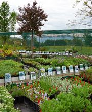Burnier Garden Centre de Lavaux Bild 5
