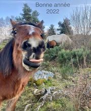 Uzan Stéphane image 1