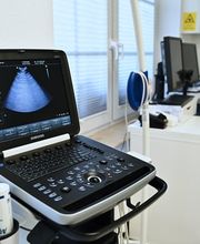 Tierarzt Falkensee, Fell & Pfote Tierarztpraxis Berlin Falkensee Bild 5