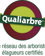 Lacour Marco image 2