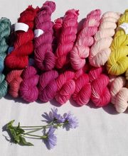 Un mouton dans l'Herbe image 3